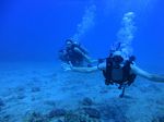 Hawaii Scuba divng 23