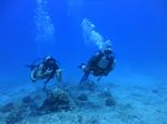 Hawaii Scuba divng 24