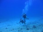 Hawaii Scuba divng 25