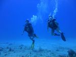 Hawaii Scuba divng 26