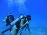 Hawaii Scuba divng 28