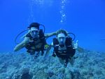 Hawaii Scuba divng 29