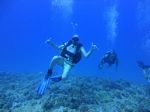 Hawaii Scuba divng 30