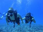 Hawaii Scuba divng 31