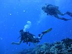 Hawaii Scuba divng 32