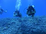 Hawaii Scuba divng 34