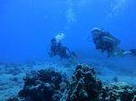 Hawaii Scuba divng 36