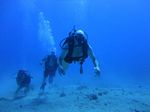 Hawaii Scuba divng 38