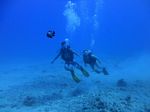 Hawaii Scuba divng 39