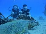 Hawaii Scuba divng 41