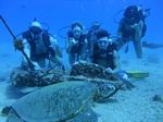 Hawaii Scuba divng 42