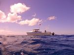 Hawaii Scuba divng 04