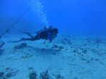 Hawaii Scuba divng 58