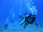 Hawaii Scuba divng 60