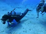 Hawaii Scuba divng 61