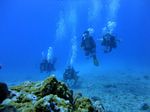 Hawaii Scuba divng 62