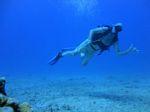 Hawaii Scuba divng 63