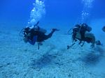 Hawaii Scuba divng 66