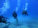 Hawaii Scuba divng 67