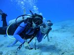 Hawaii Scuba divng 75