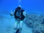 Hawaii Scuba divng 81