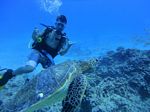 Hawaii Scuba divng 88