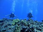 Hawaii Scuba divng 90