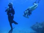 Hawaii Scuba divng 91