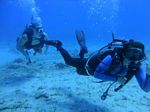 Hawaii Scuba divng 94