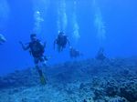 Hawaii Scuba divng 96