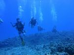 Hawaii Scuba divng 96