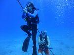 Hawaii Scuba divng 97