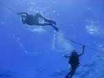 Hawaii Scuba divng 98