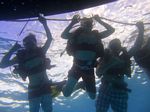 Hawaii Scuba divng 14