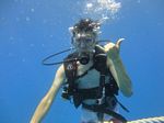 Hawaii Scuba divng 15