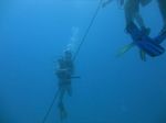 Hawaii Scuba divng 18