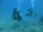 Hawaii Scuba divng 22