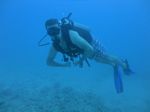 Hawaii Scuba divng 23