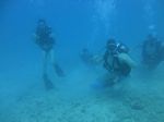 Hawaii Scuba divng 25