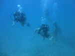 Hawaii Scuba divng 26