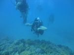 Hawaii Scuba divng 27