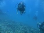 Hawaii Scuba divng 28