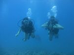 Hawaii Scuba divng 29