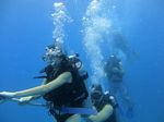 Hawaii Scuba divng 33