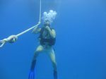 Hawaii Scuba divng 36