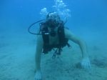 Hawaii Scuba divng 38