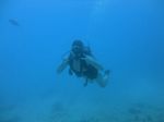 Hawaii Scuba divng 40