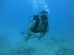 Hawaii Scuba divng 41