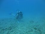 Hawaii Scuba divng 44