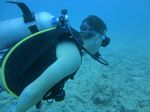 Hawaii Scuba divng 45